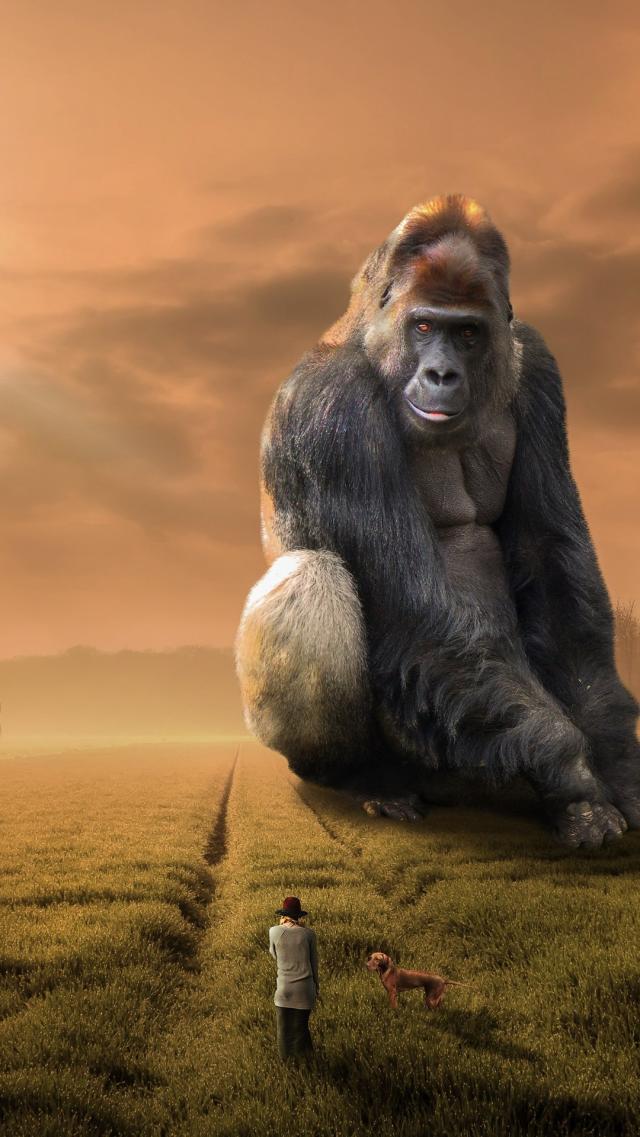 Gorilla