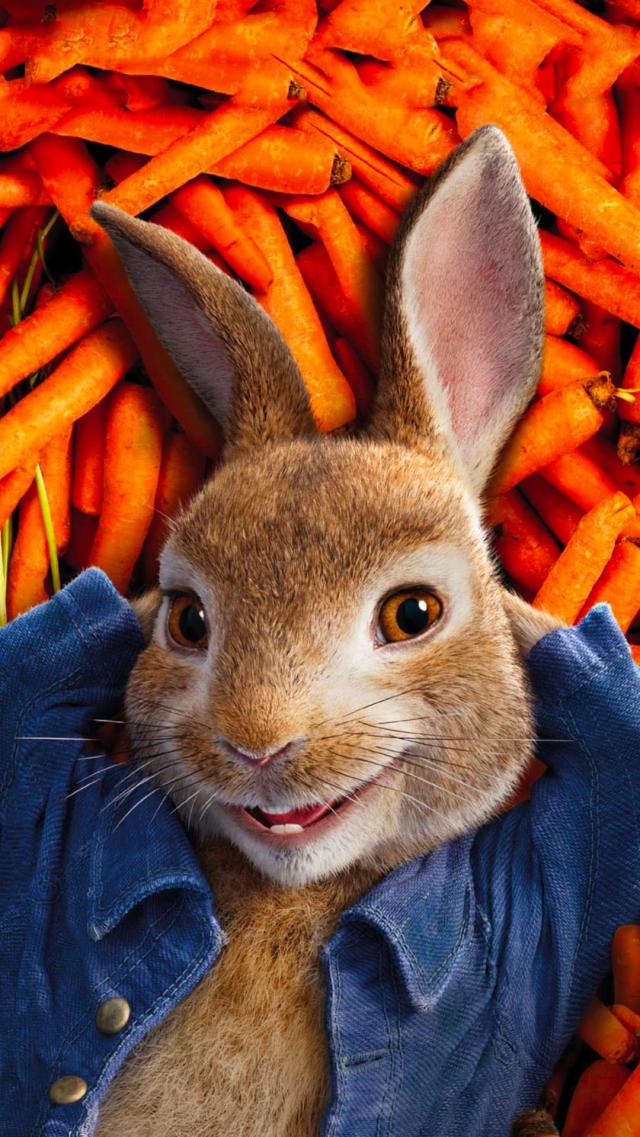 Peter Rabbit