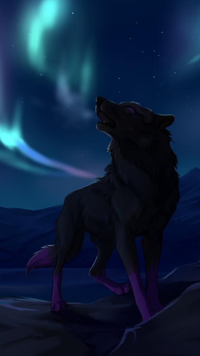 Night Wolf Animal Wallpaper for iPhone X