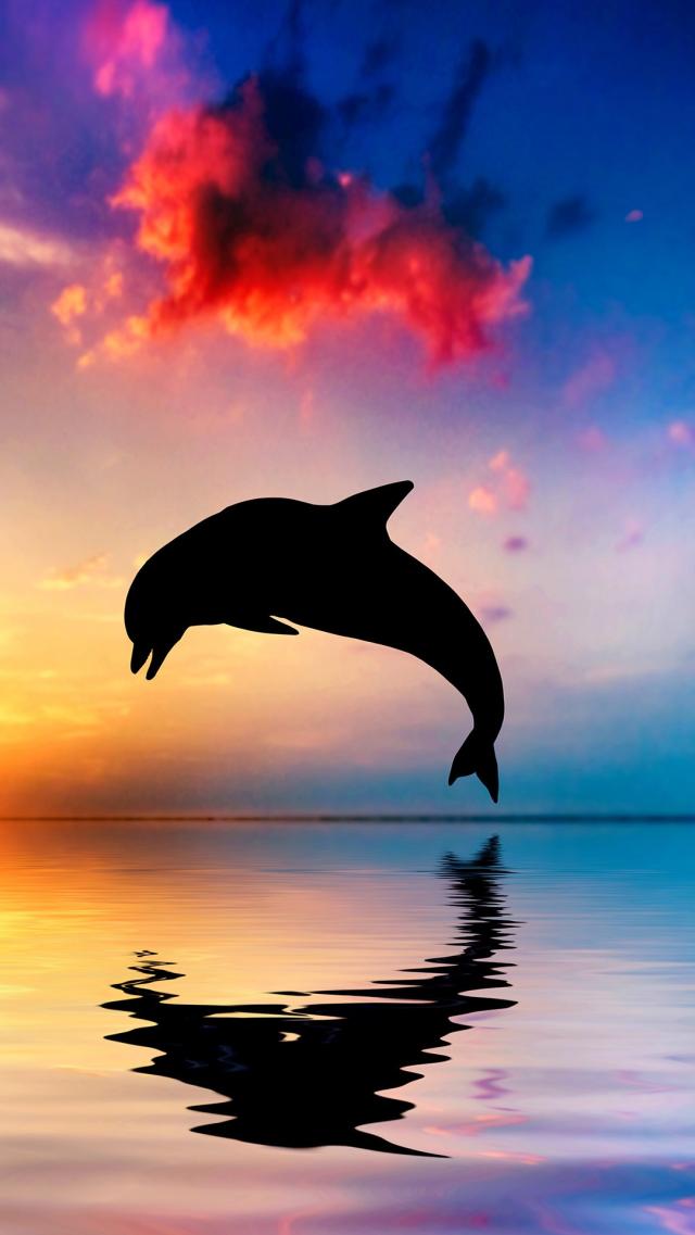 Dolphin Leaping Out of the Sea
