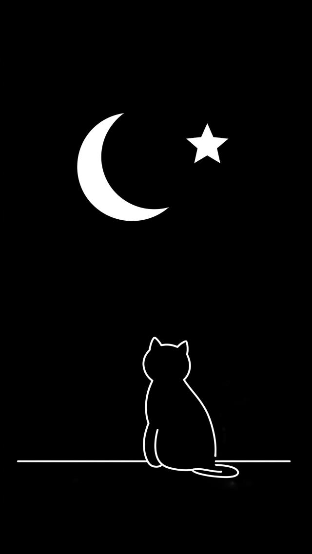 Cat and Crescent Moon