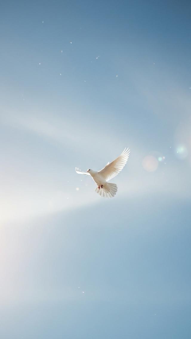 White Doves and the Swaying Sky