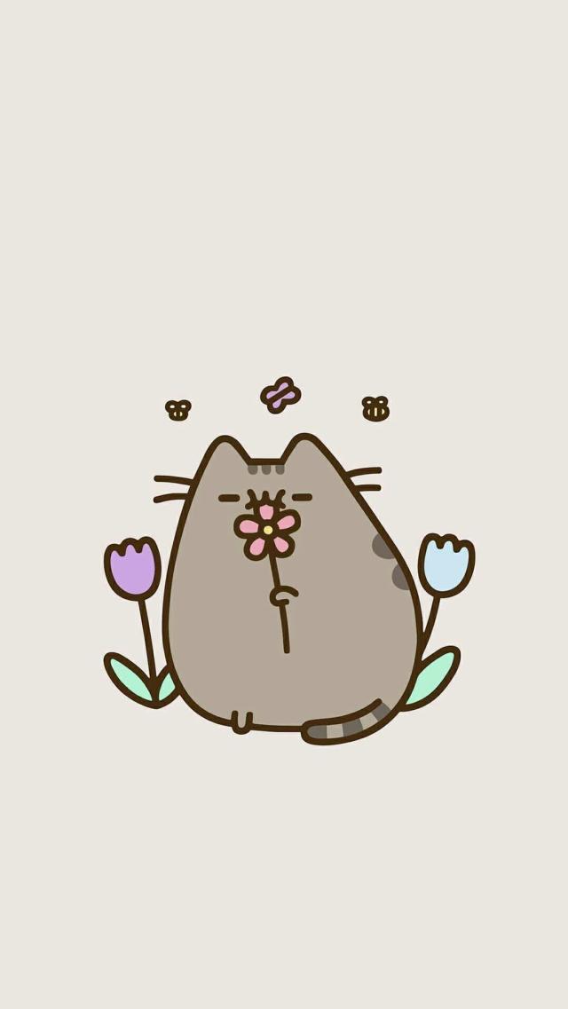 CutePudgeCat(Floral)Character