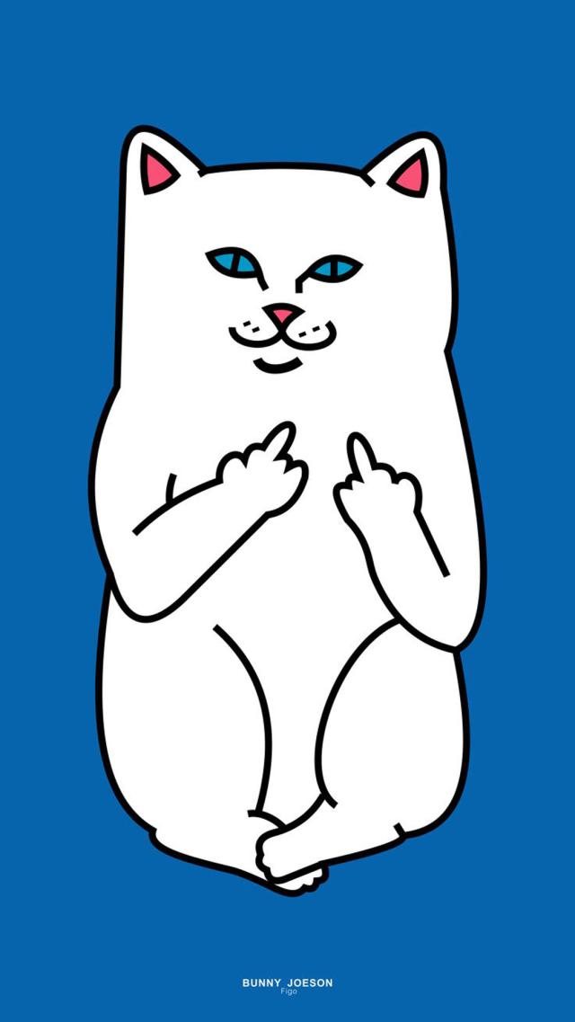 RIPNDIP