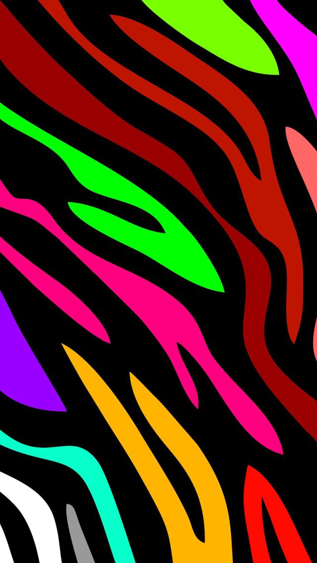 Colorful Zebra Stripes