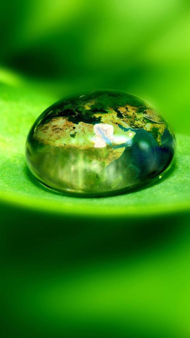 Water Drop Pattern Wallpaper