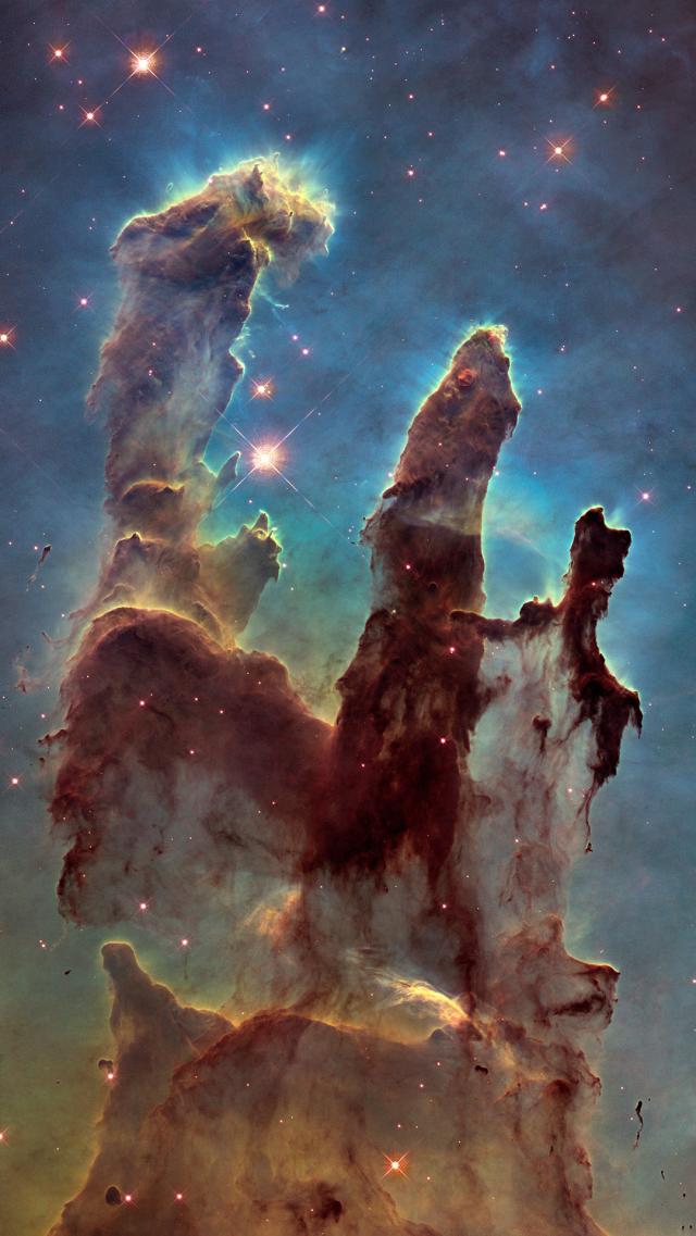 Nebula Like Animals