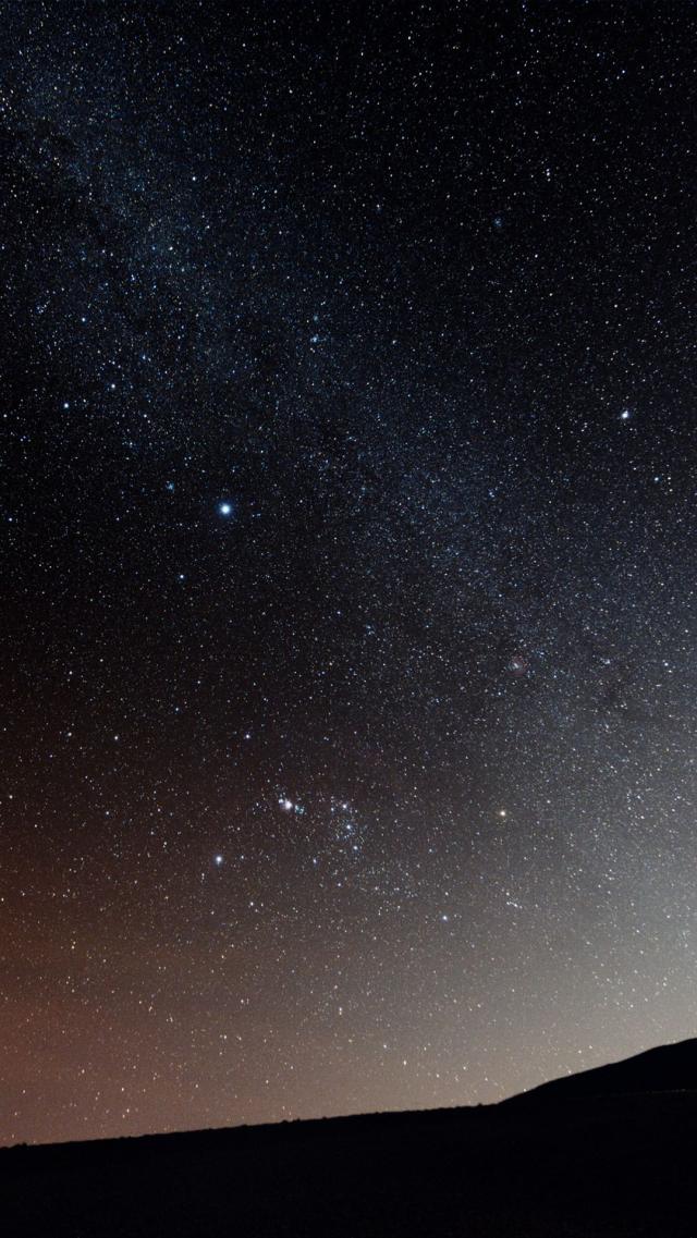 Stars in the Night Sky