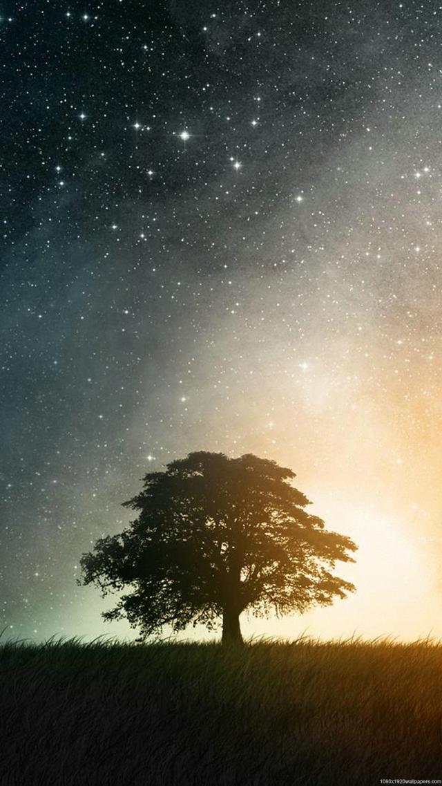 Dreamy Starry Sky