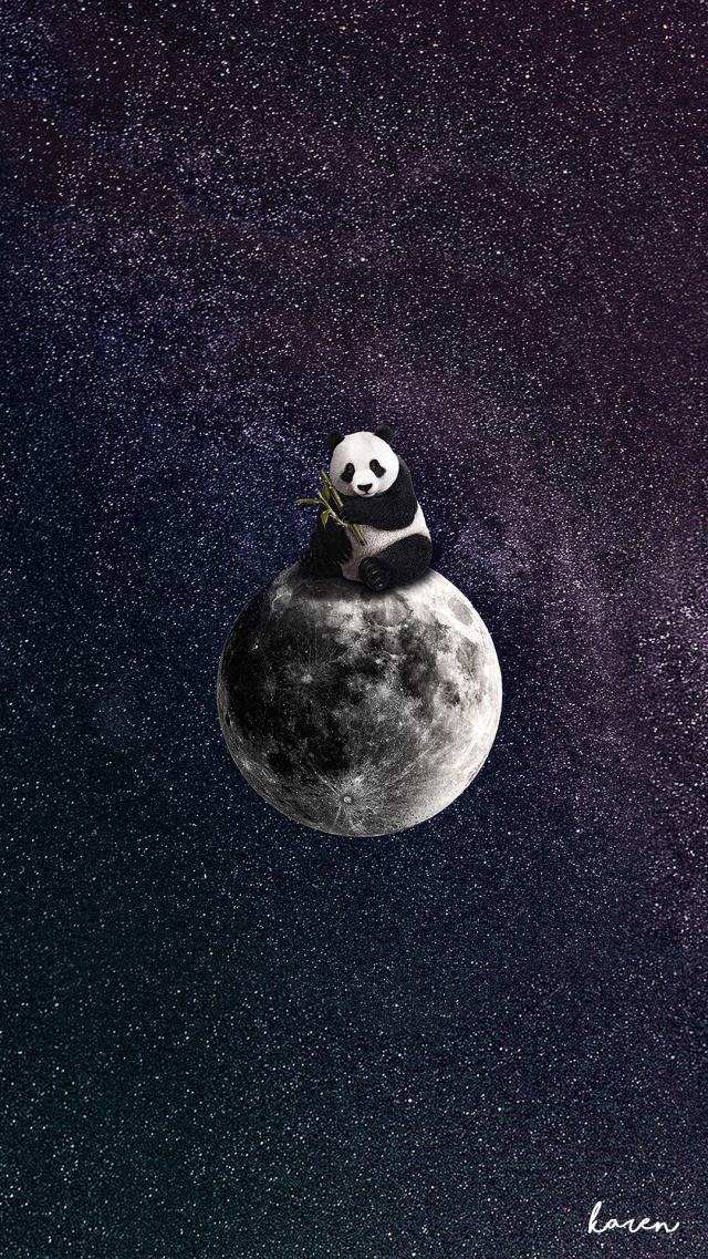 The Moon and the Panda