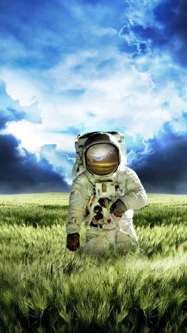 Astronaut on the Grassland