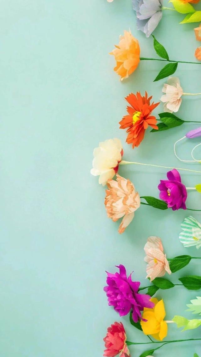 五彩缤纷的花朵 高清壁纸