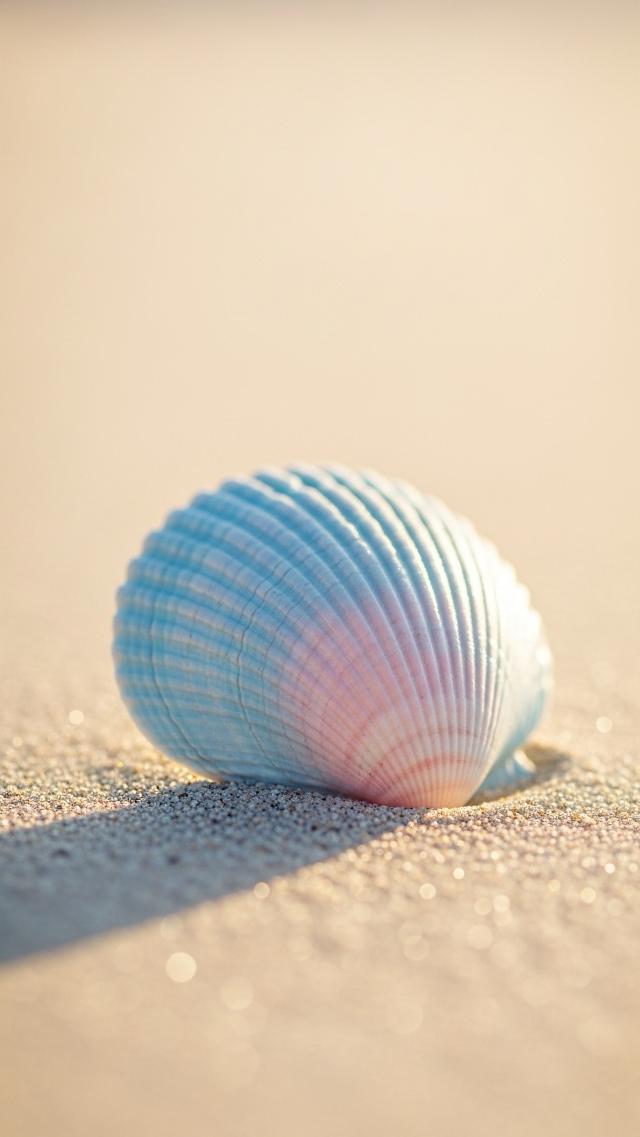 Light Blue Shells and Sand