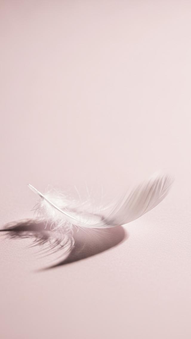 ペールピンクに浮かぶ羽根