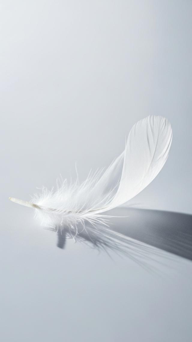 A White Feather