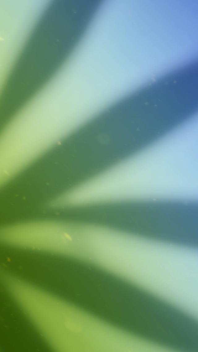 Contrast of Light and Shadow