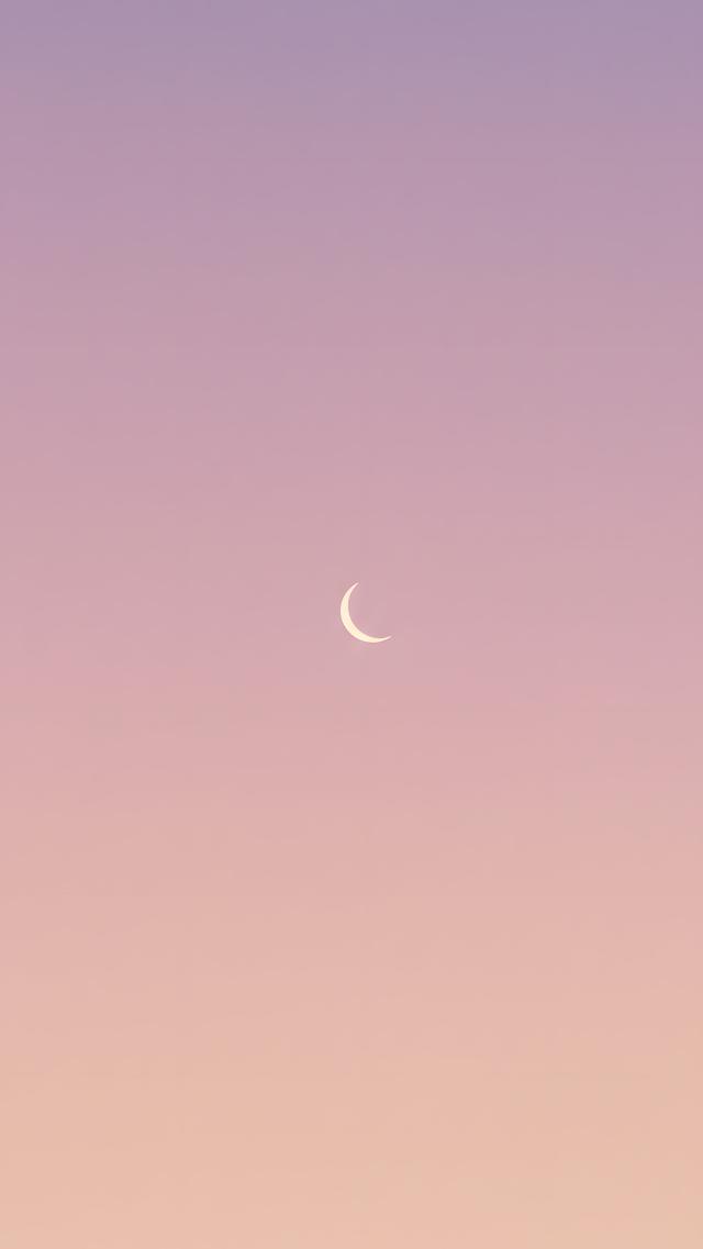 The Small Moon Hanging High in the Night Sky