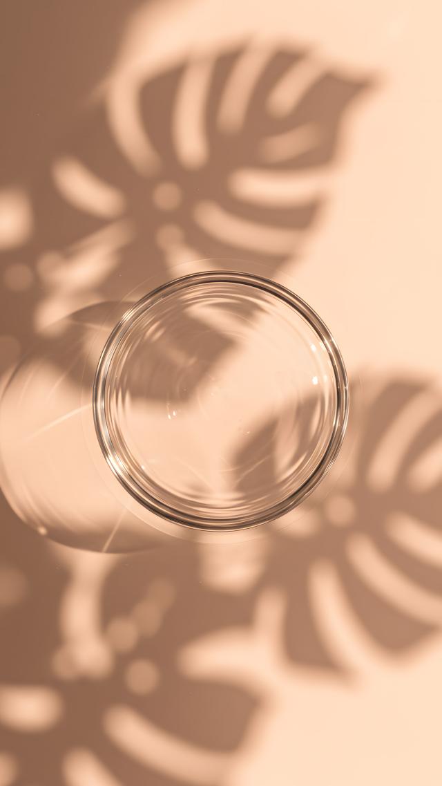 植物のシルエット