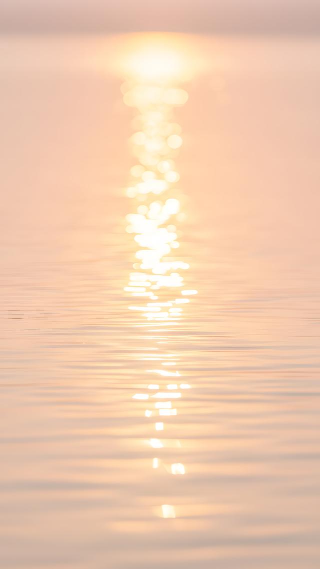 水面に反射する光