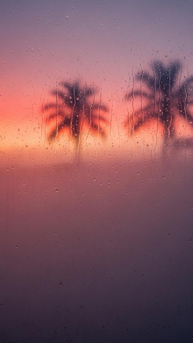 濡れた窓越しの南国の夕暮れ