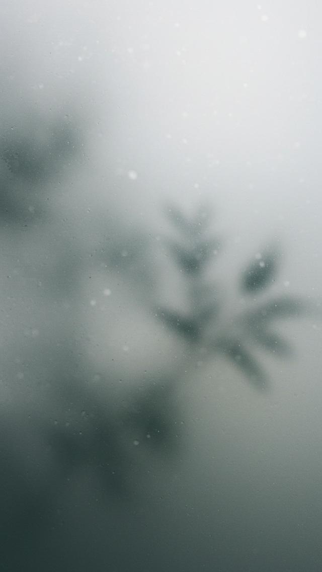 磨りガラス越しの自然