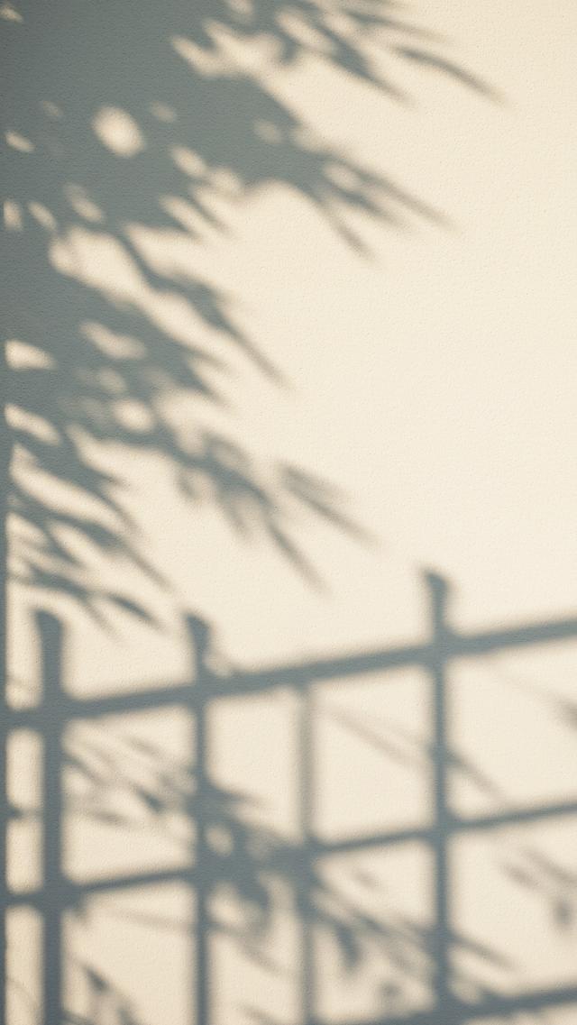 Shadows of the Bamboo Fence and a Summer Afternoon