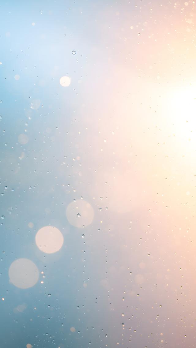 雨上がりの朝の光