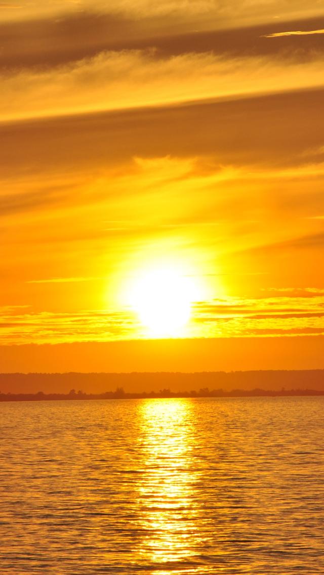 金色の海（✨ゴールドアイフォン6s壁紙✨）