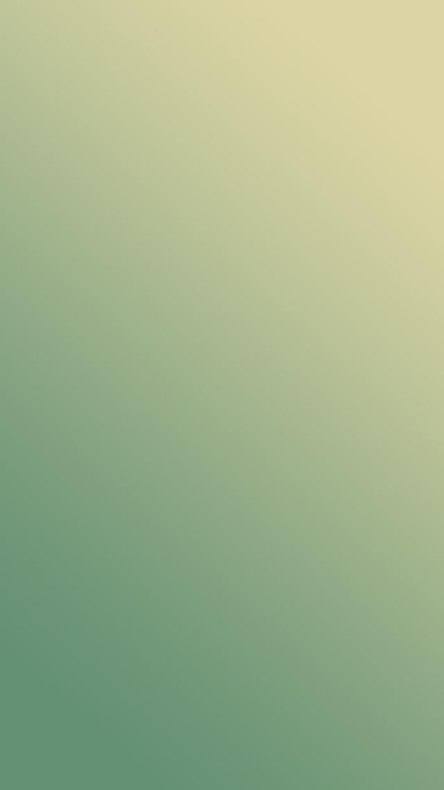 Simple Green