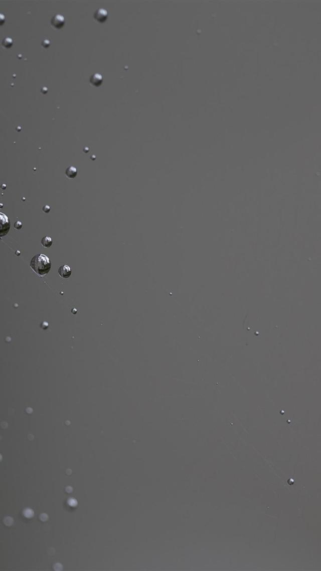 Wallpaper for > Spider Web iPhone Wallpaper