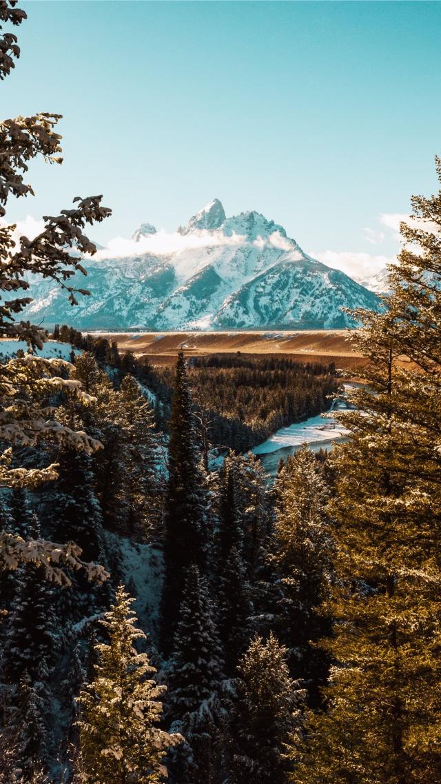 冬季自然 高清壁纸