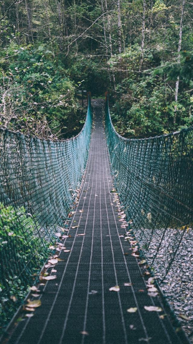 Suspension Bridge