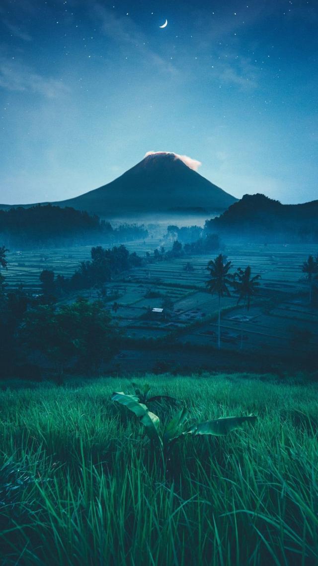 Moonlit Night in the Mountains
