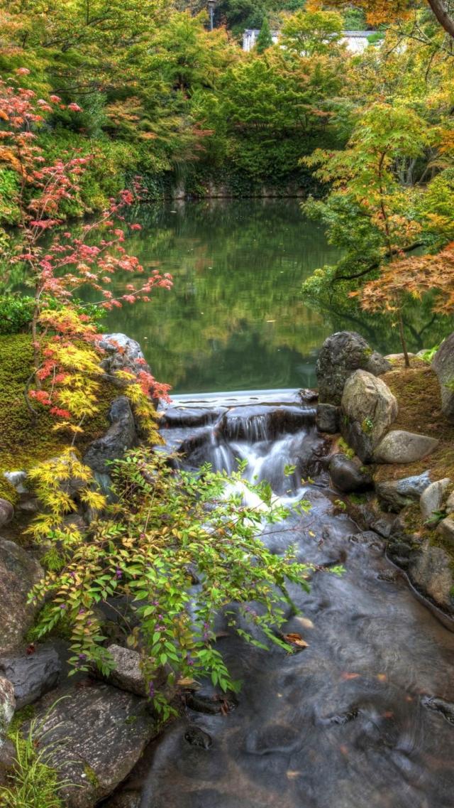 Japanese Garden