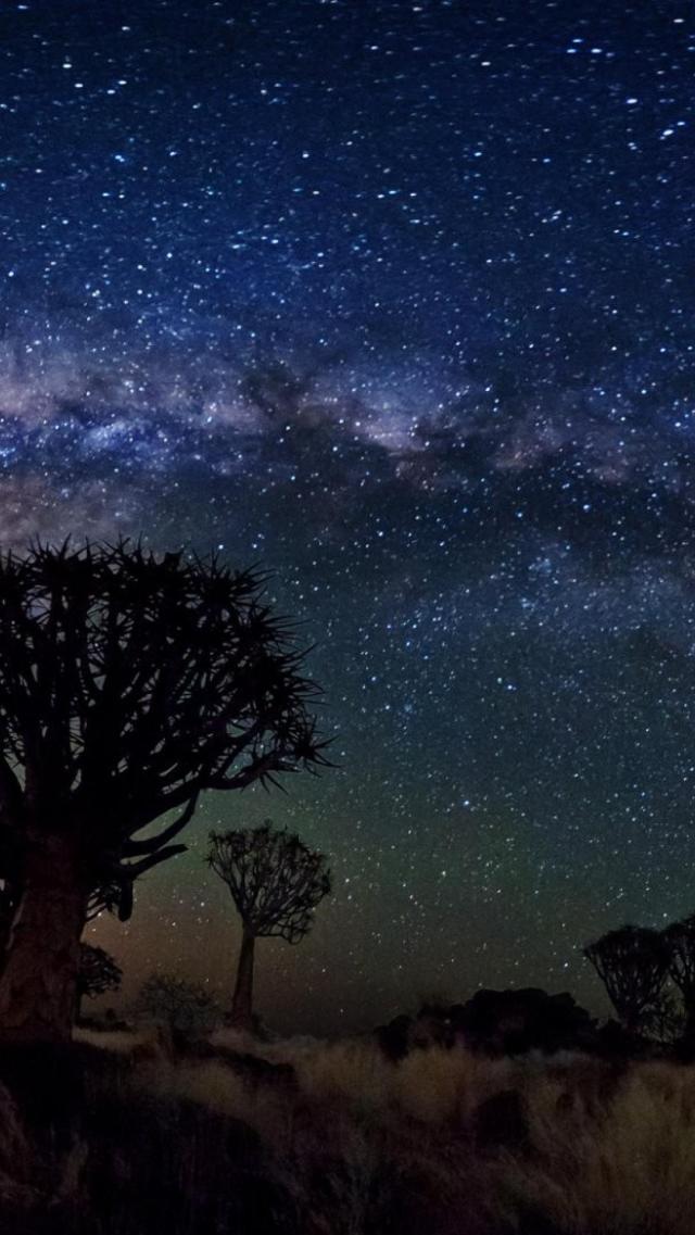 Nature with a Starry Sky