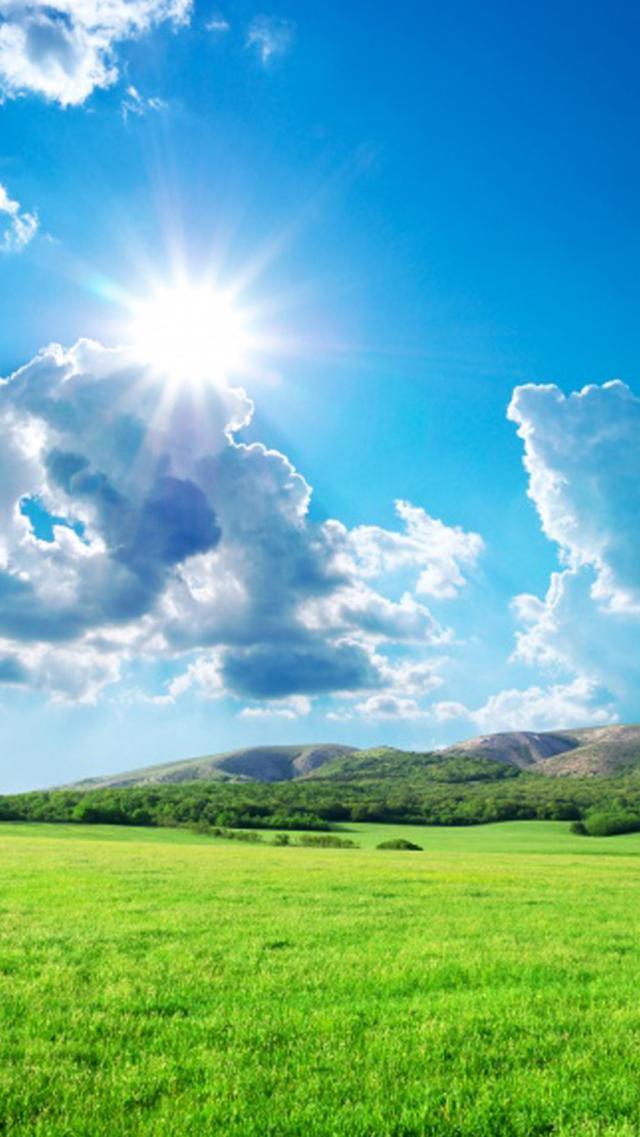 Clear Sky and Grassland