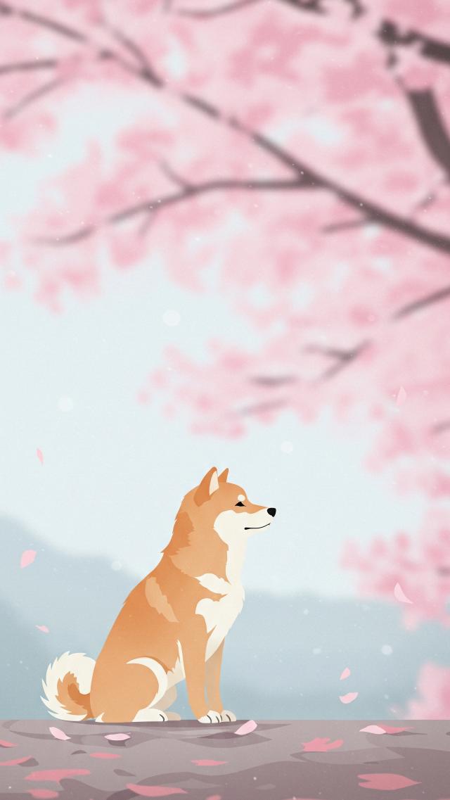 Cherry Blossoms and Shiba Inu