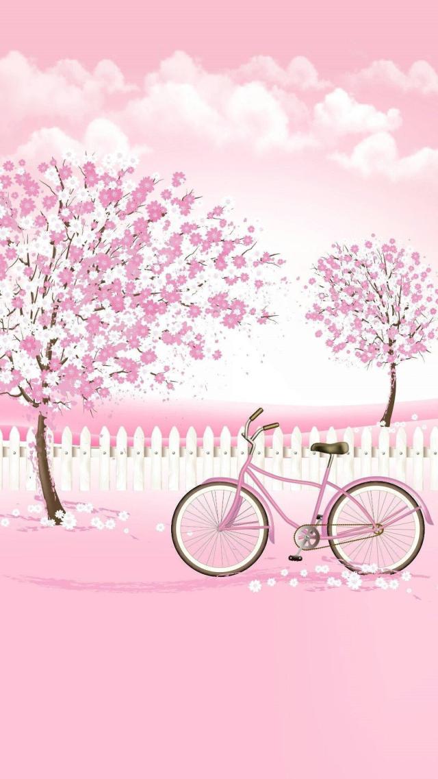 Cherry Blossoms and Bicycles