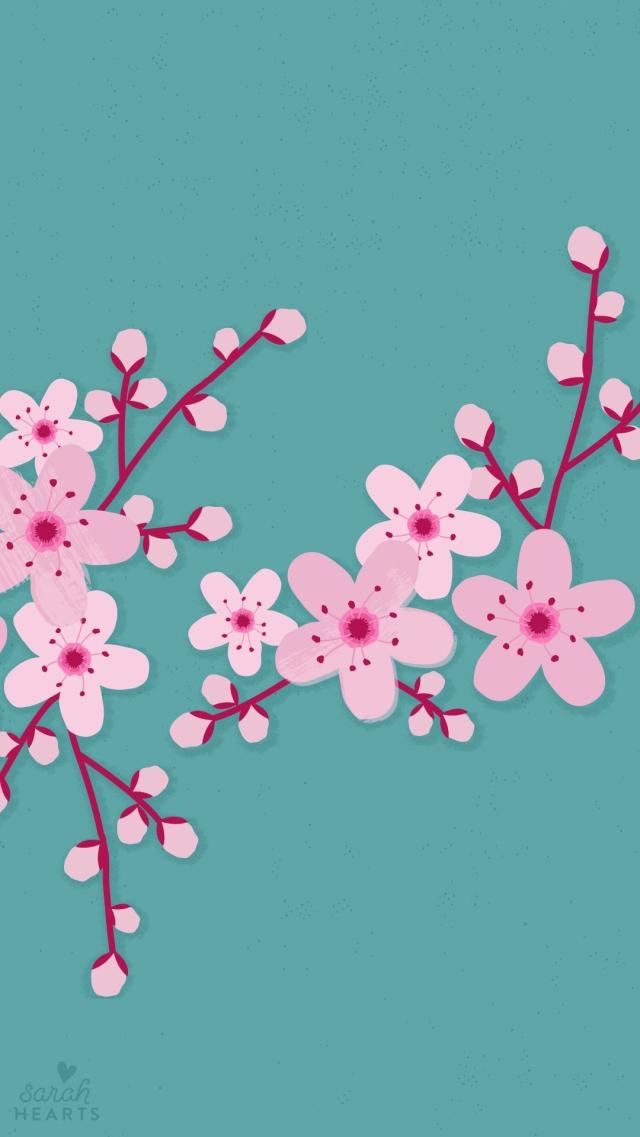 Cherry Blossoms - Illustration