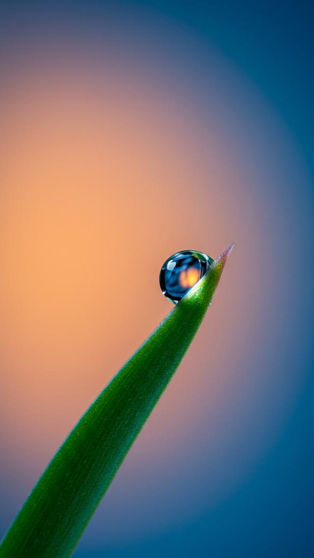 Water Droplets