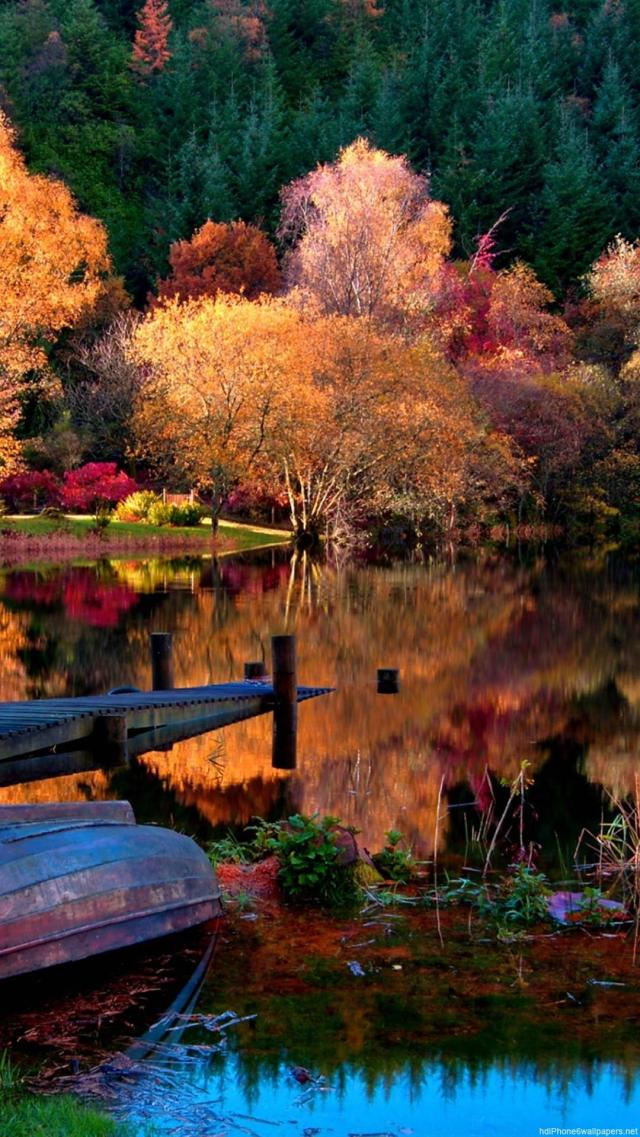 Beautiful Scenery of Red Leaves Reflected in the Pond