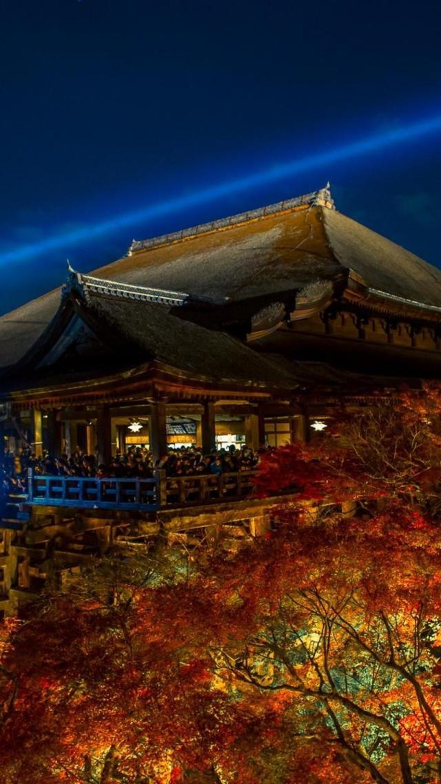 Kiyomizu Temple Maple Leaf Light Show