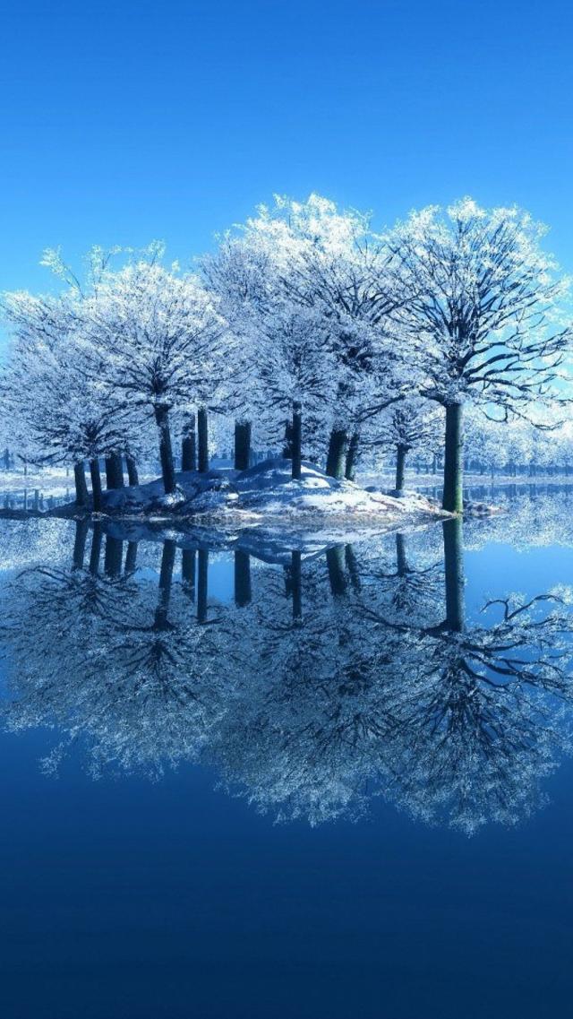 Pure White Trees Reflected in the Lake