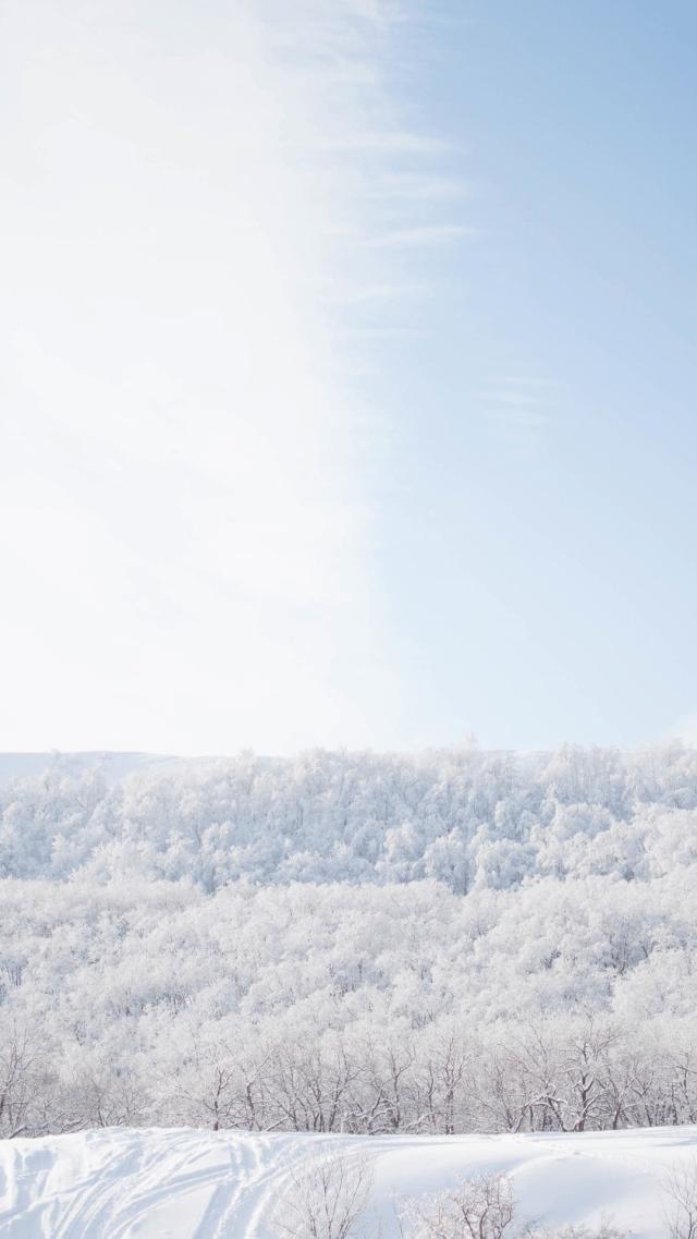 Pure White Snowy Scenery