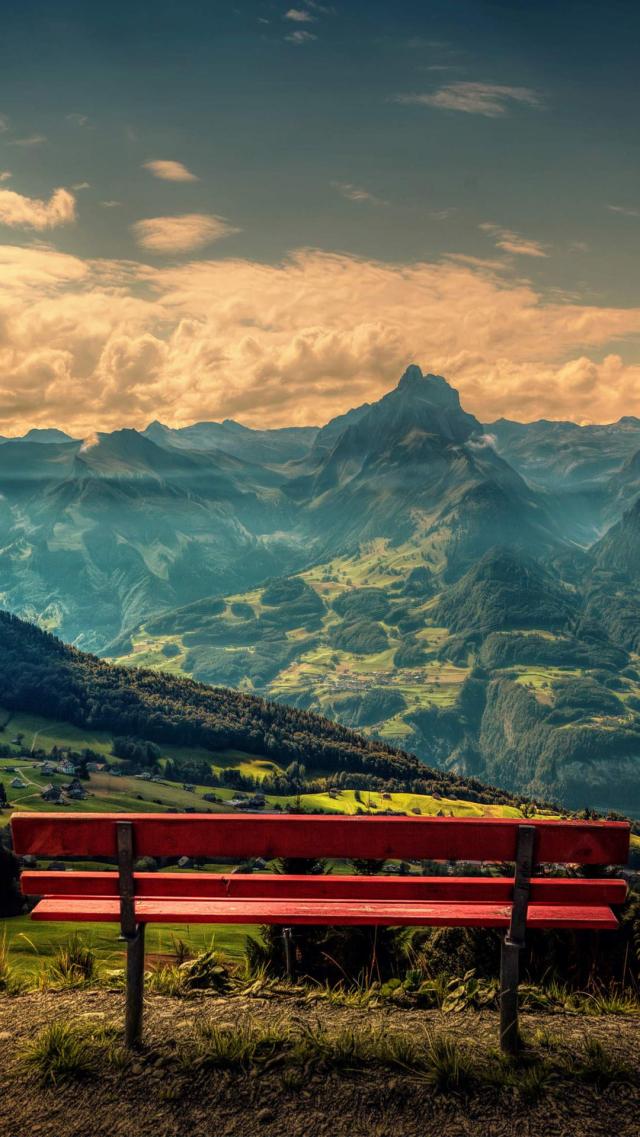 Bench with a Good View