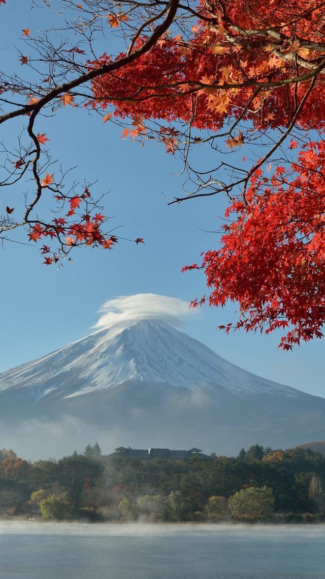 Autumn Mount Fuji