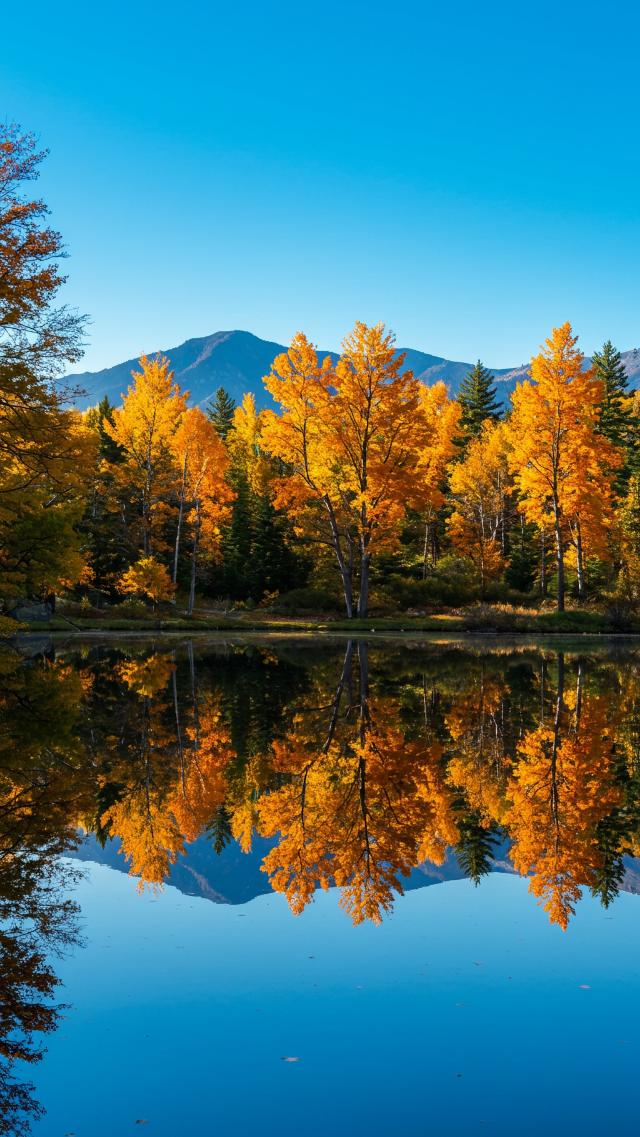 Mirror-like Lake Surface in Autumn