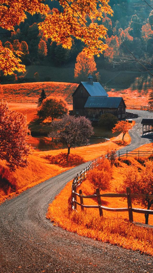 Rural Autumn Scenery