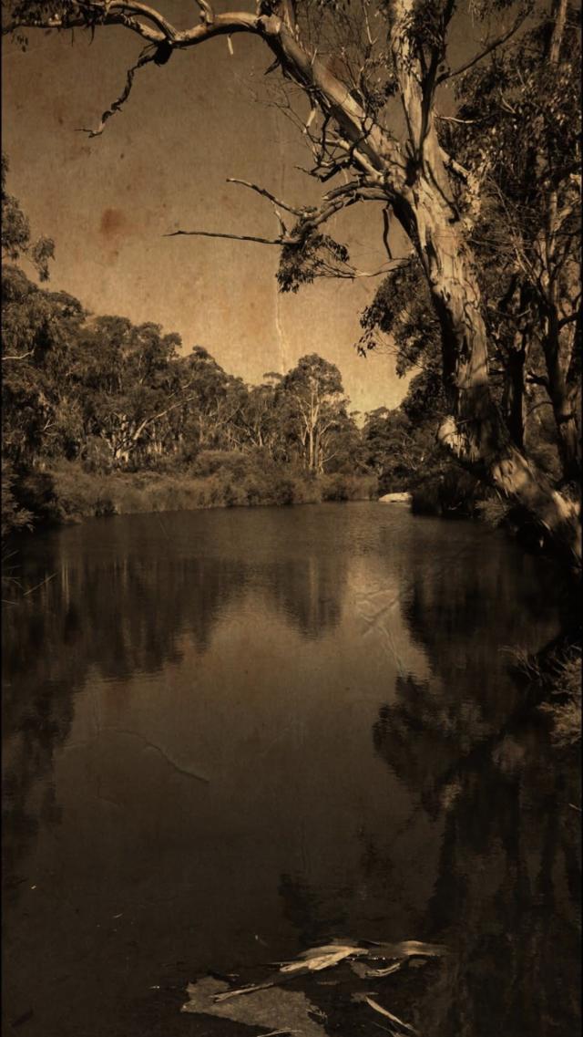 Natural Sepia Photo