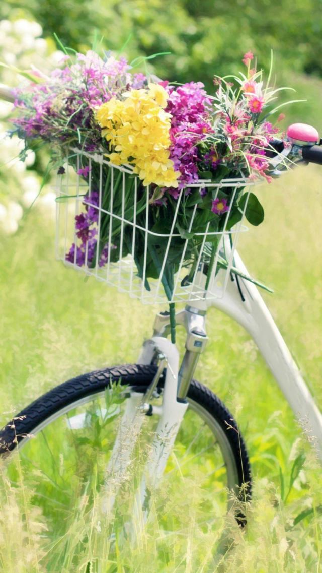 Bicycle Basket Filled with Flowers
